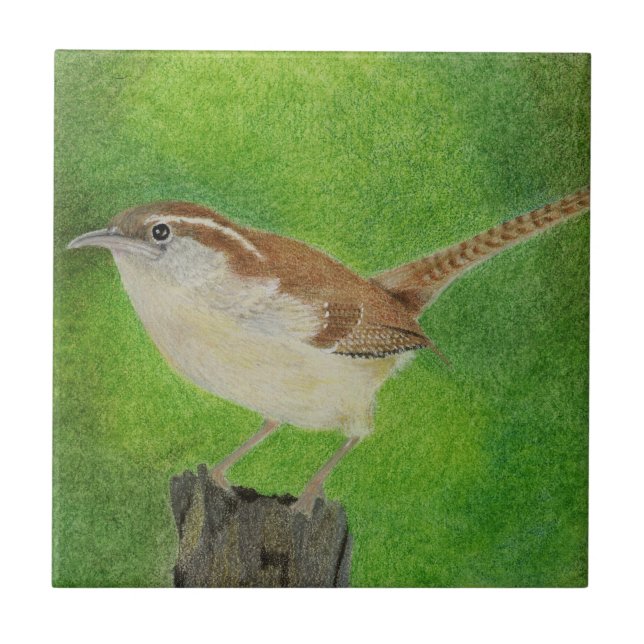 Azulejo De Cerámica Wren (Frente)