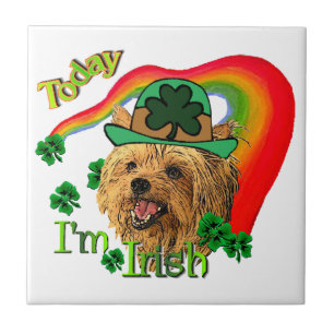 Azulejo De Cerámica Yorkshire Terrier St Patricks