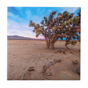 Azulejo De Cerámica Yuca del Mojave