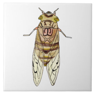 Azulejo de cigarra gigante