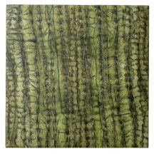 Azulejo de Cocina Verde Cactus