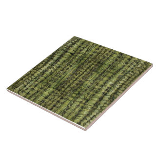 Azulejo de Cocina Verde Cactus