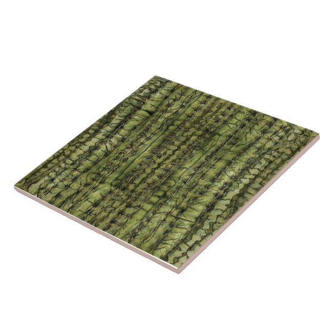 Azulejo de Cocina Verde Cactus (Lado)