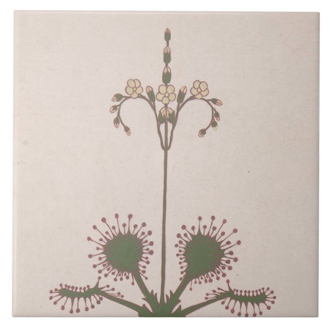 Azulejo de Estampado Floral Vintage Repro (Frente)
