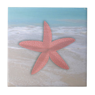 Azulejo de estrella de mar en la orilla de la play