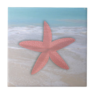 Azulejo de estrella de mar en la orilla de la play