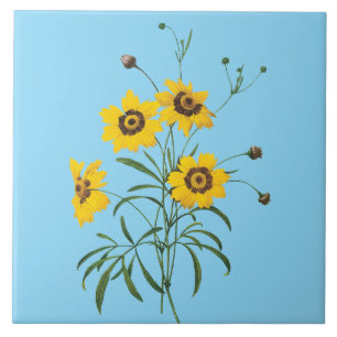 Azulejo de Flor de Coreopsis Redoute