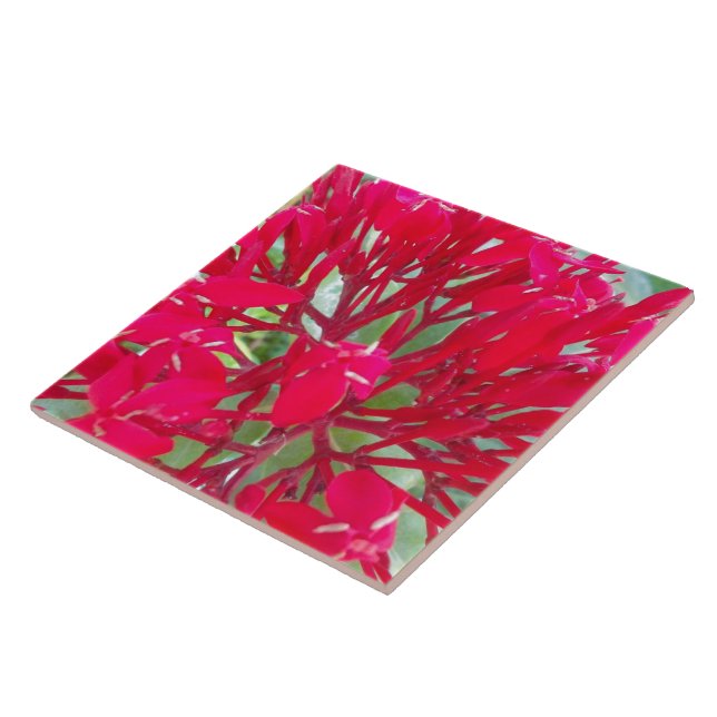 Azulejo de flores rojas impresionantes y hermosas (Lado)
