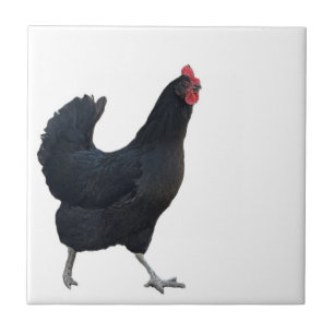 Azulejo de foto de pollo