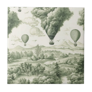 Azulejo de inodoro de globo aerostático del campo