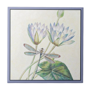 Azulejo de loto y libélula