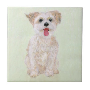 Azulejo de perro Morkie