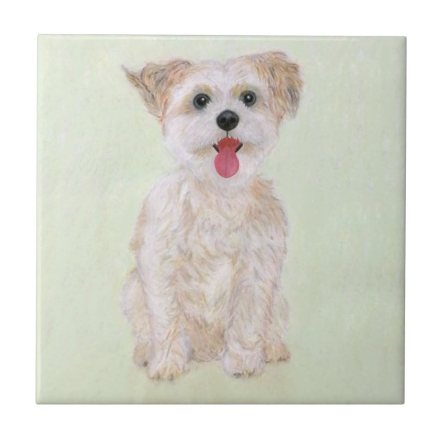 Azulejo de perro Morkie (Frente)