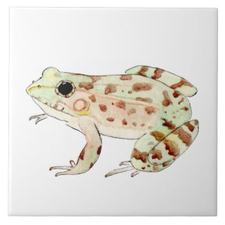 Azulejo de rana leopardo