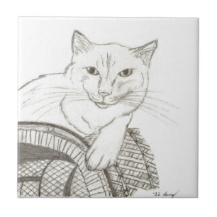 Azulejo de retrato de gato Ragdoll