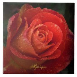 Azulejo de Rosa Naranja Roja Botánica Oscura Mysti
