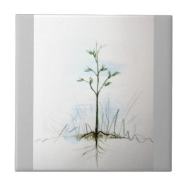 Azulejo De Una Semilla Pequeña. ... ... ...