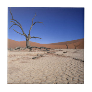 Azulejo Dead Vlei, Sossusvlei, Parque nacional de Namib-Na