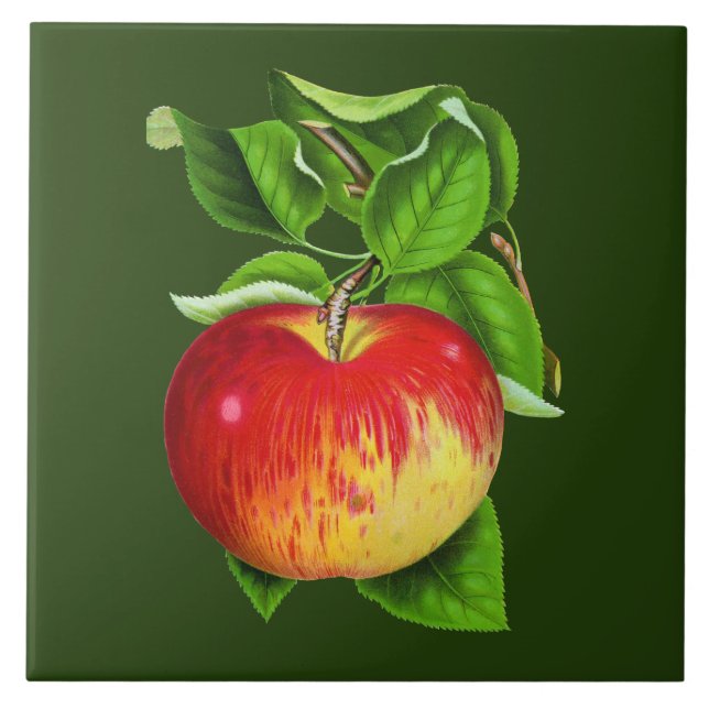 Azulejo Decoración acogedora de la cocina de Apple (Frente)