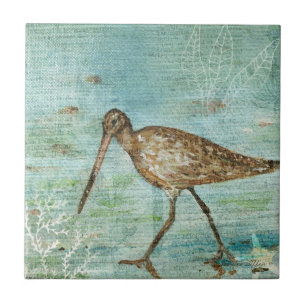 Azulejo Decoración de la Casa Snipe Shorebird Coastal Bea