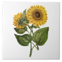 Decoración Rústica de Girasol