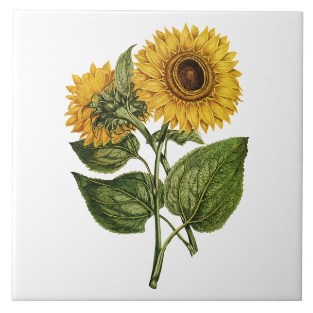 Azulejo Decoración Rústica de Girasol (Frente)
