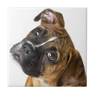 Azulejo decorativo de perro boxer