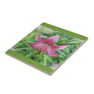 Azulejo Decorativo Lirio Rosa