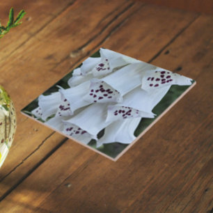 Azulejo Dedalera Blanca con Manchas Rosadas Floral