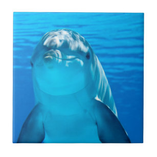 Azulejo Delfín