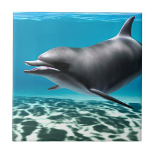 Azulejo Delfín sonriente