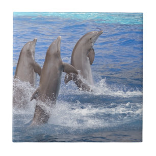Azulejo Delfines en pie fuera del agua