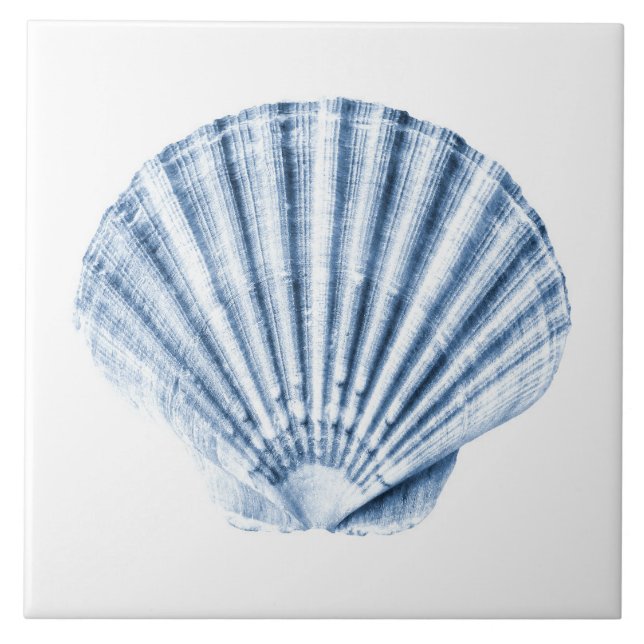 Azulejo Delft Blue Clam Sea Shell Nautical Beach House (Frente)