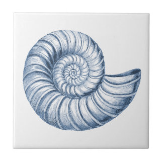 Azulejo Delft Blue Nautilus Shell Nautical Beach House