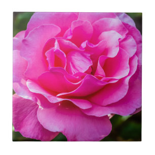 Azulejo Delicada rosa.