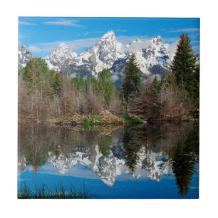 Azulejo Desembarco de Schwabacher, Grand Teton