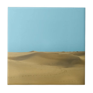 Azulejo desierto bajo el sol