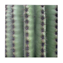 Desierto de Arizona Saguaro Cactus Green