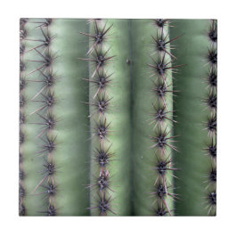 Azulejo Desierto de Arizona Saguaro Cactus Green