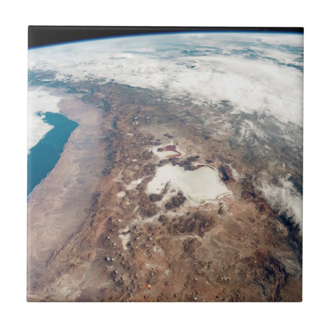 Azulejo Desierto De Atacama Y Plantas De Sal En Los Andes (Frente)