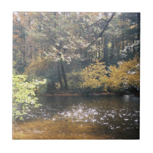 Azulejo Deslumbrante