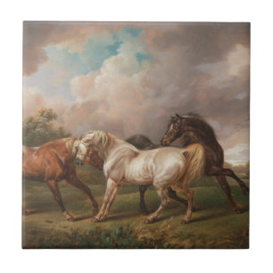 Azulejo Destino de los caballos del aceite de la pintura