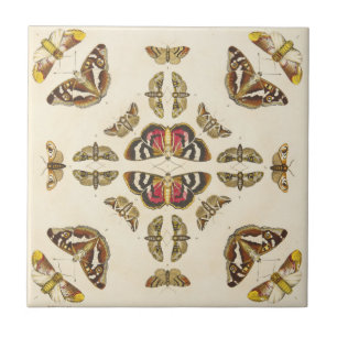 Azulejo Detalle de la placa VI