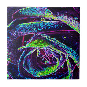 Azulejo Detalle gráfico de Rosa azul blanco negro y verde