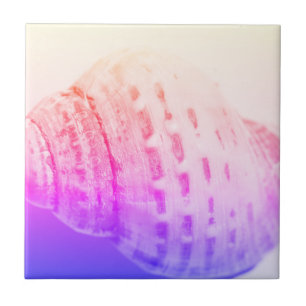 Azulejo Detalles de la estructura de la cubierta marina