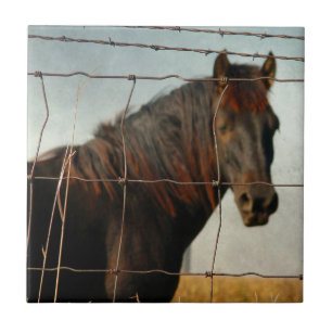 Azulejo Detrás de la cerca, caballo abstracto