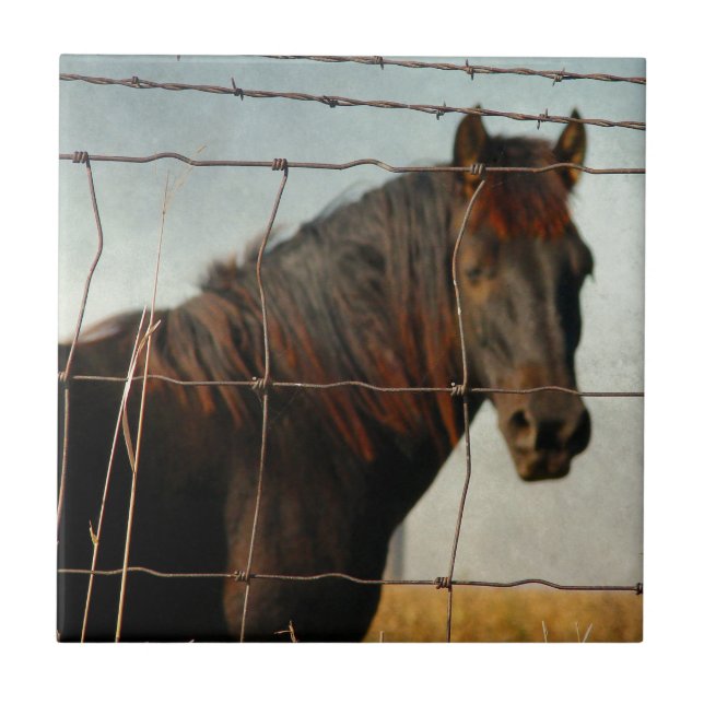 Azulejo Detrás de la cerca, caballo abstracto (Frente)