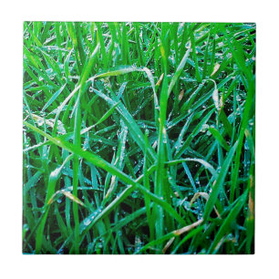 Azulejo Dewy Grass