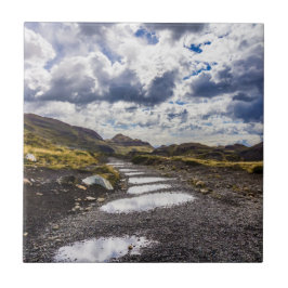 Azulejo Día De Lluvia En Torres Del Paine NP