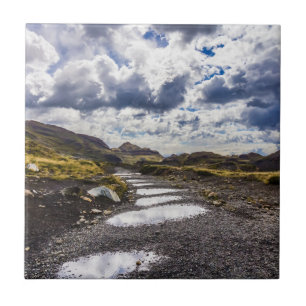 Azulejo Día De Lluvia En Torres Del Paine NP